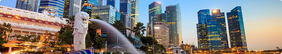 Singapore Student